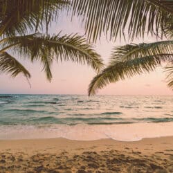 Beautiful paradise island with beach and sea around coconut palm tree at sunset time - Holiday Vacation concept